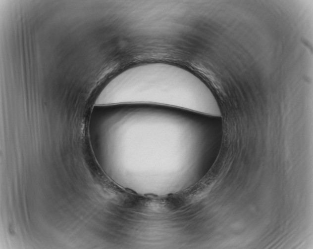 X0000096970308200802080929