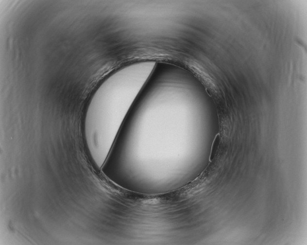 X0000096970309200802080929