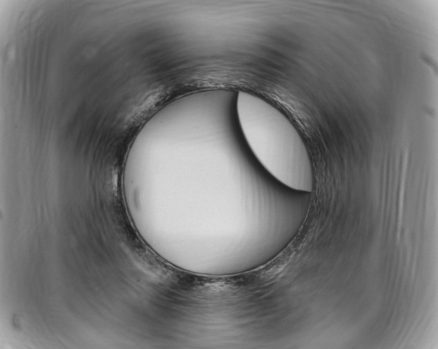 X0000096970310200802080929
