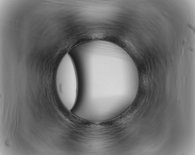 X0000096970311200802080929