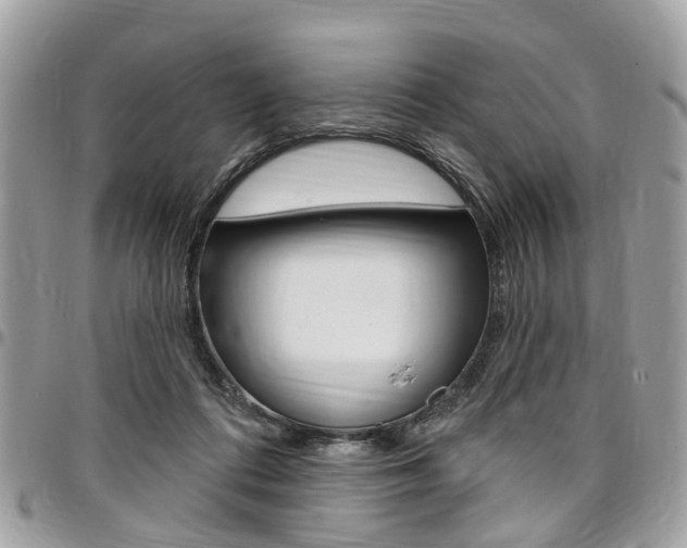 X0000096970312200802080929