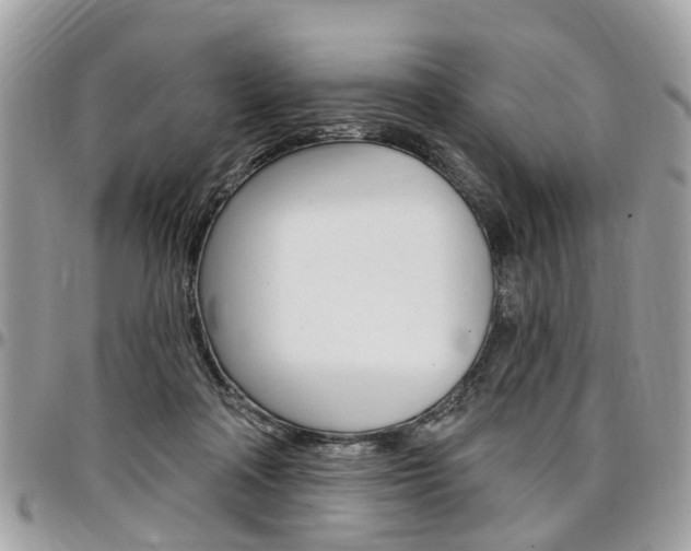 X0000096970314200802080929