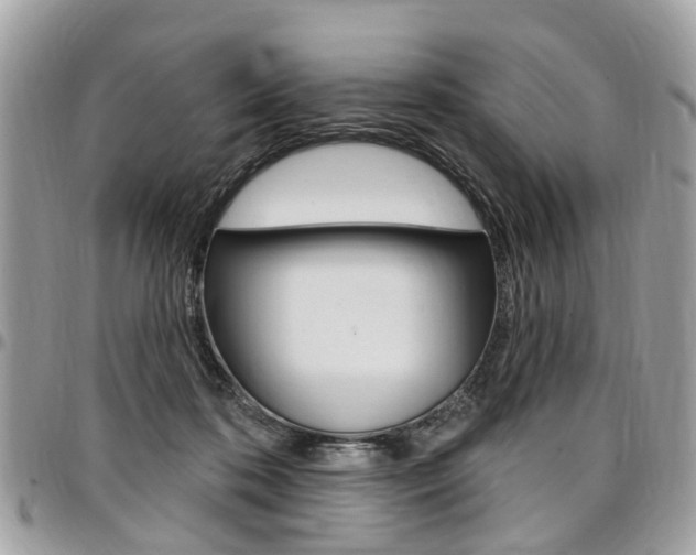 X0000096970316200802080929