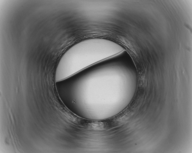 X0000096970317200802080929
