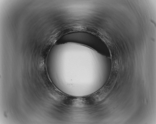 X0000096970320200802080929