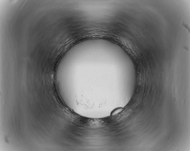 X0000096970321200802080929