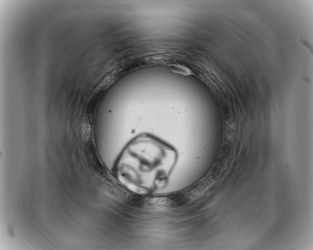X0000096970324200802080929