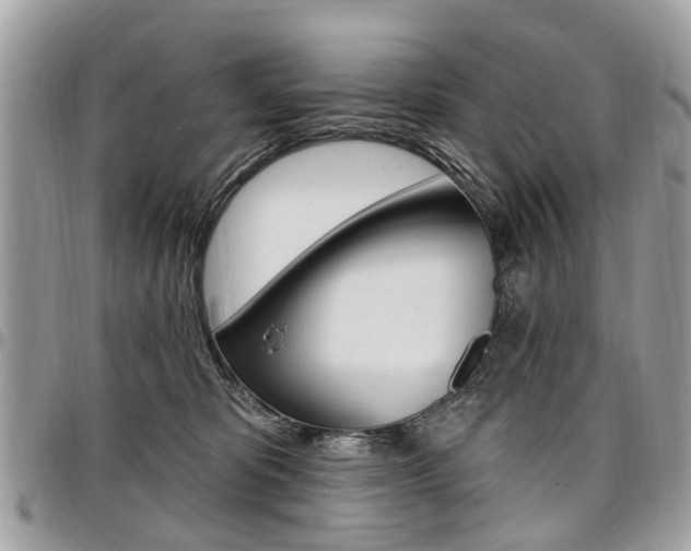 X0000096970325200802080929