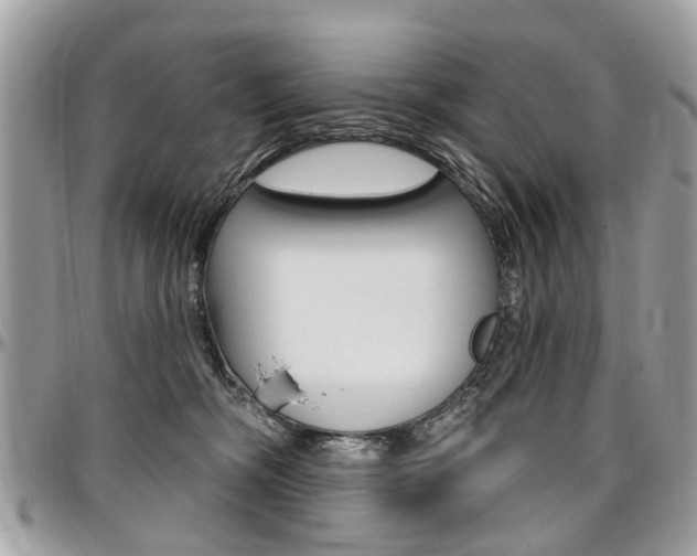 X0000096970326200802080929