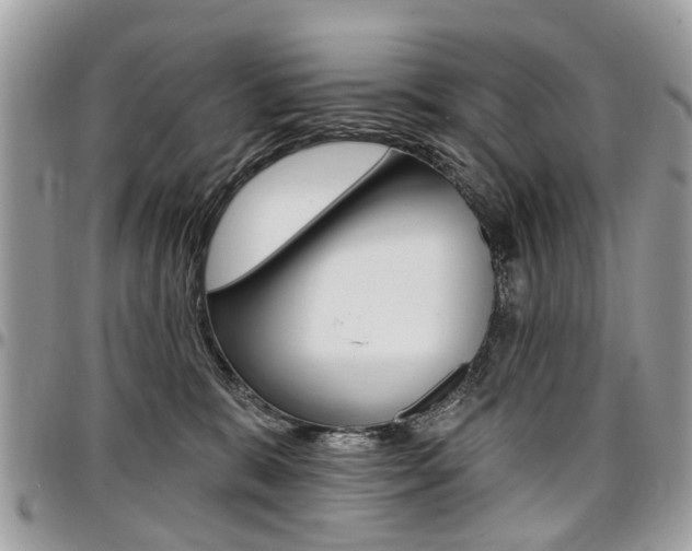 X0000096970327200802080929