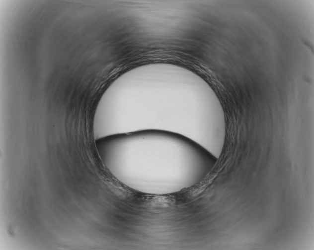 X0000096970330200802080929