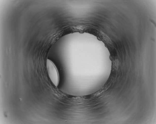 X0000096970331200802080929