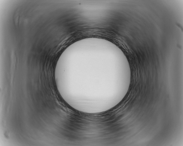 X0000096970332200802080929