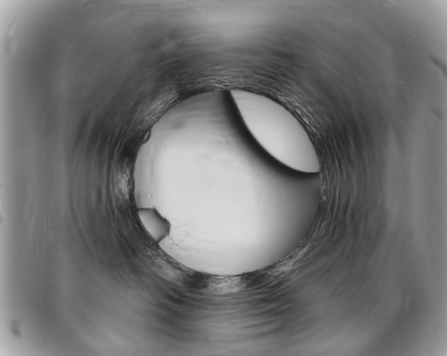 X0000096970334200802080929