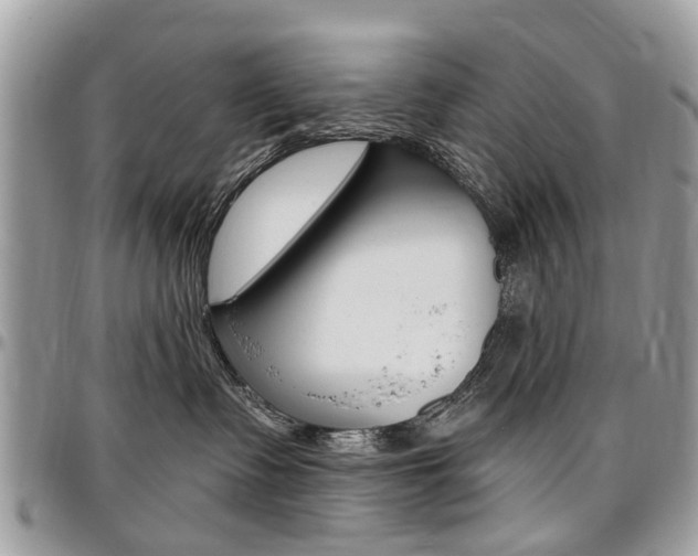 X0000096970335200802080929
