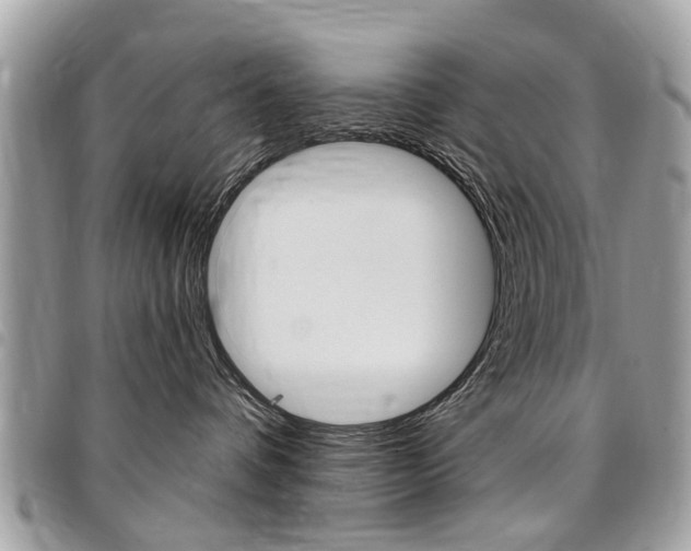 X0000096970336200802080929