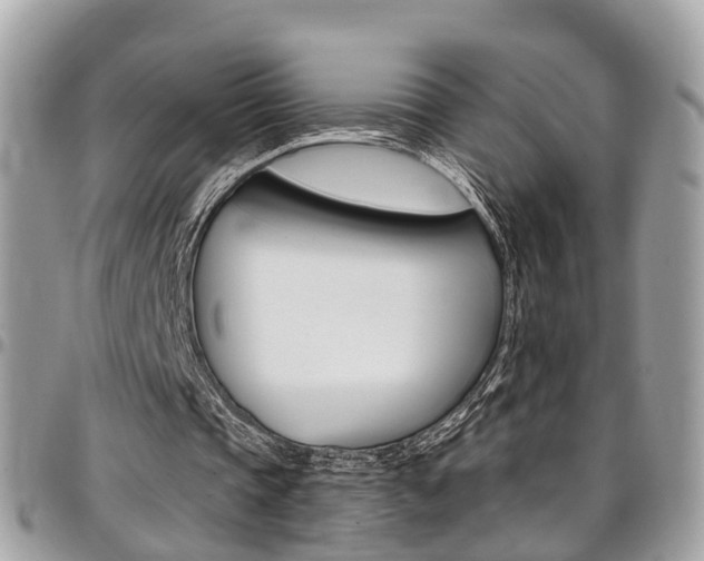 X0000096970337200802080928