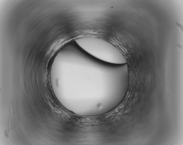 X0000096970338200802080928