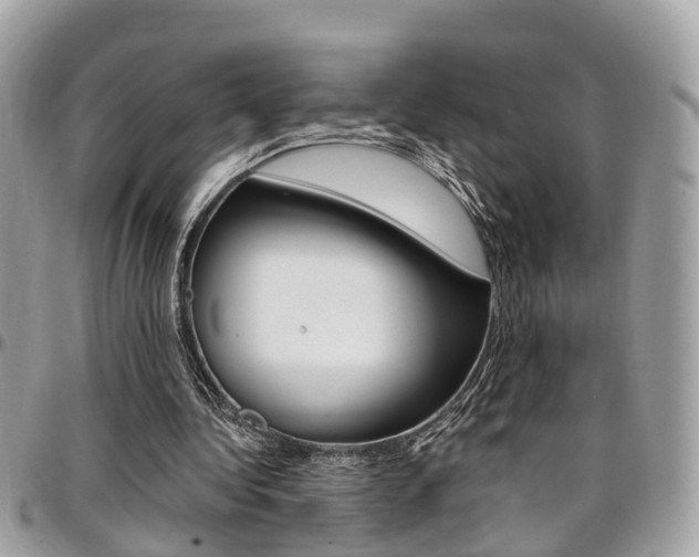 X0000096970340200802080928
