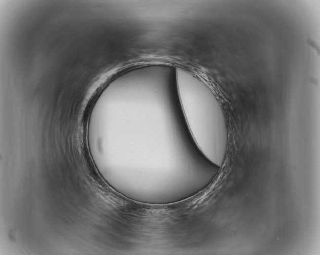 X0000096970342200802080928