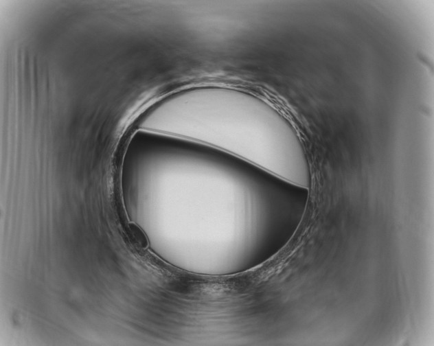 X0000096970344200802080928