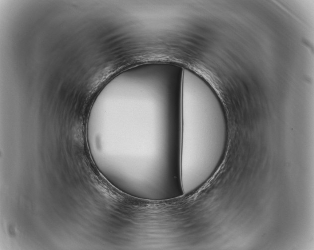 X0000096970345200802080928