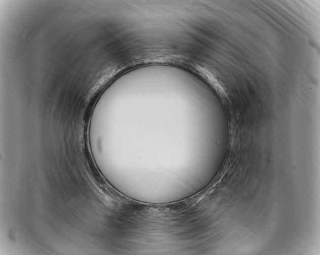 X0000096970346200802080928