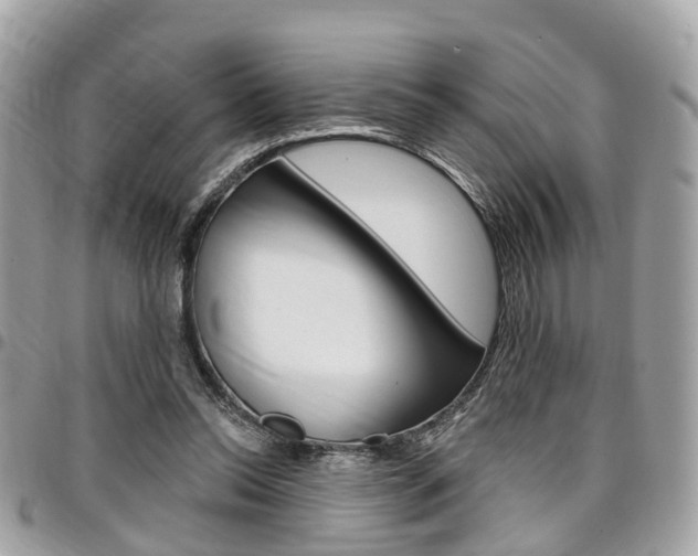 X0000096970350200802080928