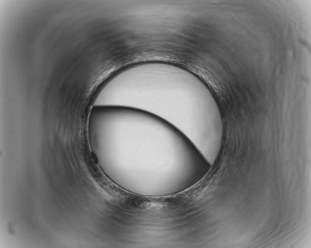 X0000096970352200802080928