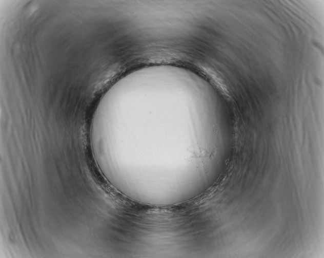 X0000096970354200802080928