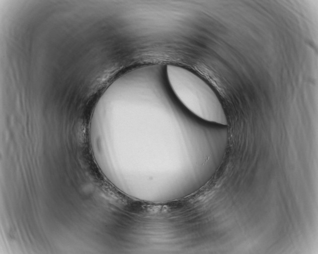 X0000096970355200802080928