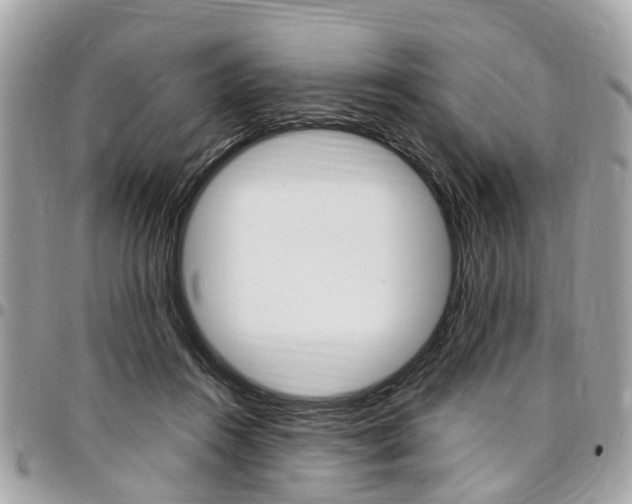 X0000096970360200802080928