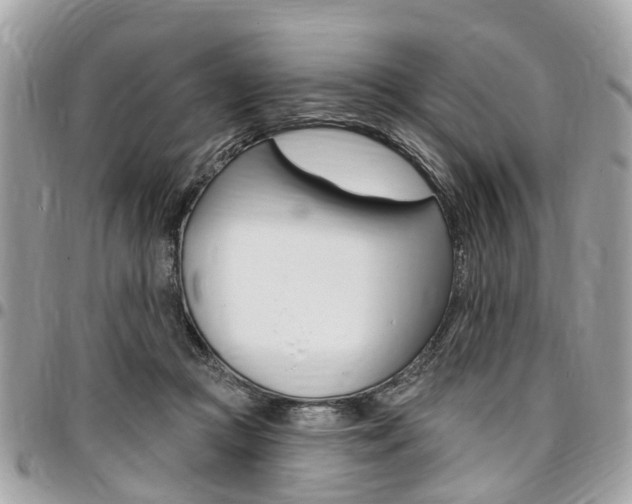 X0000096970361200802080928