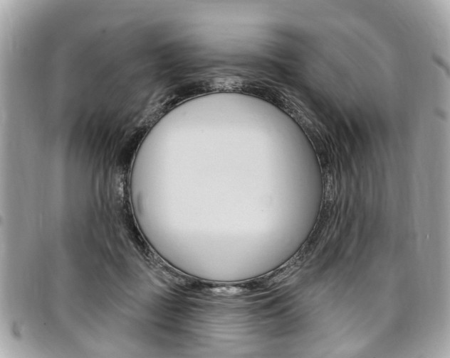 X0000096970363200802080928