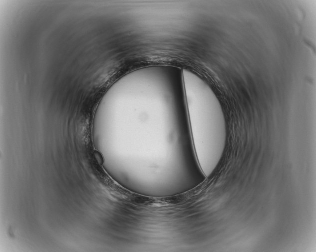 X0000096970364200802080928