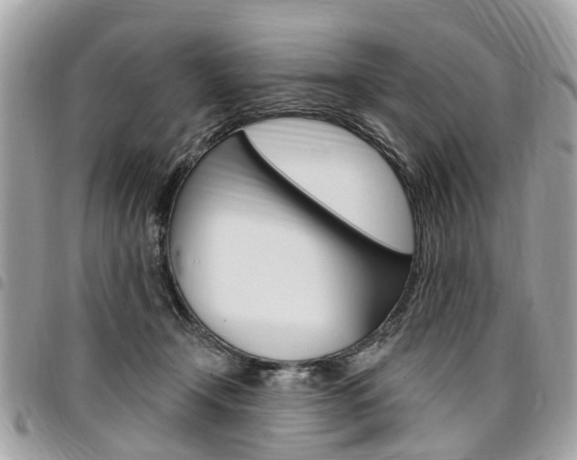 X0000096970366200802080928