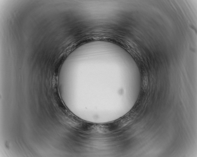 X0000096970367200802080928