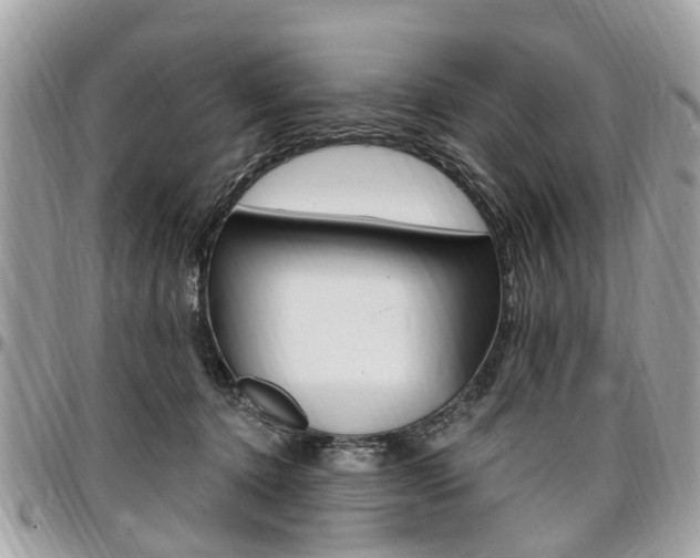 X0000096970368200802080928