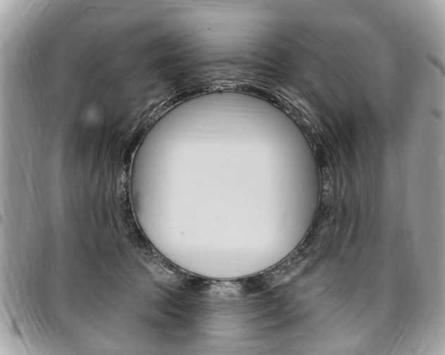 X0000096970369200802080928