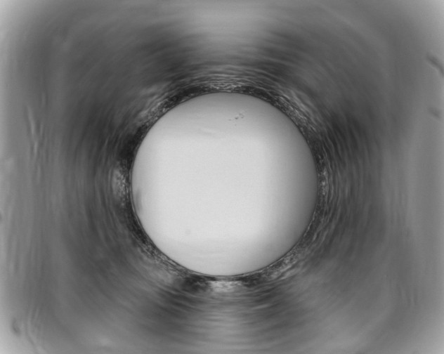 X0000096970371200802080928