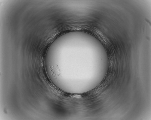 X0000096970374200802080928