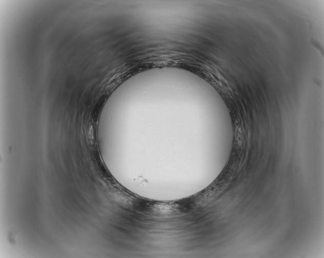 X0000096970375200802080928
