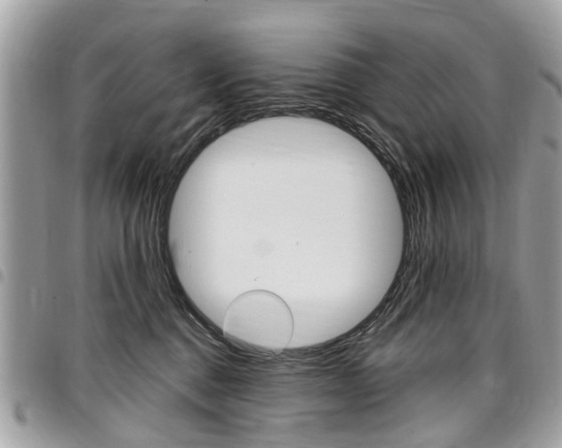 X0000096970376200802080928