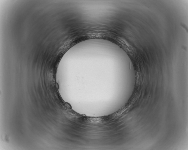 X0000096970377200802080928