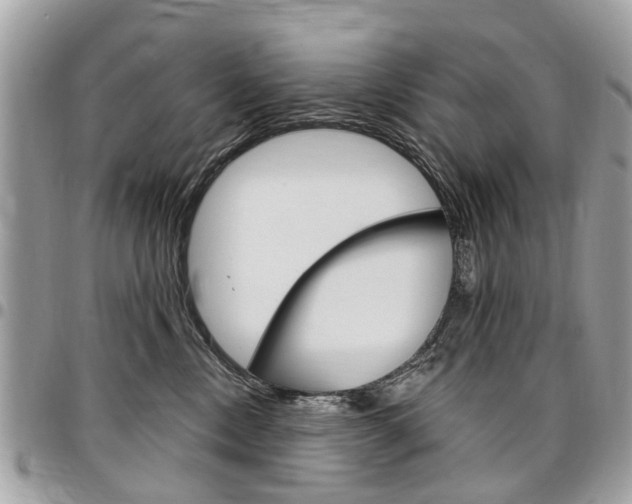 X0000096970378200802080928