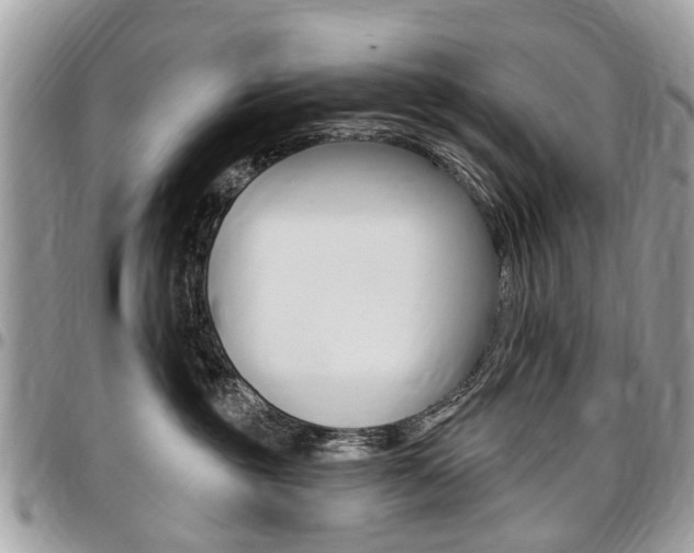 X0000096970381200802080929