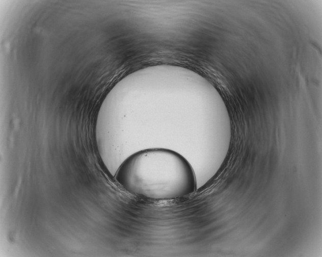 X0000096970382200802080929