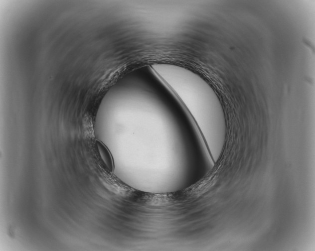 X0000096970384200802080929