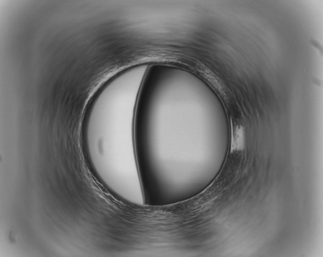 X0000096970387200802080928