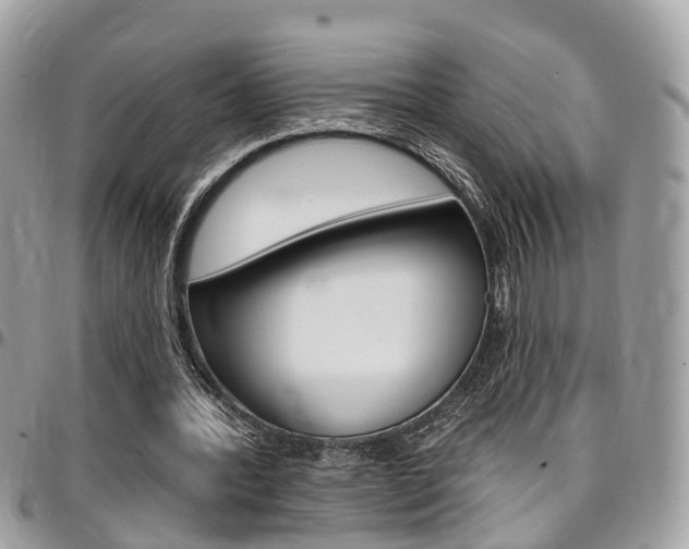 X0000096970388200802080928